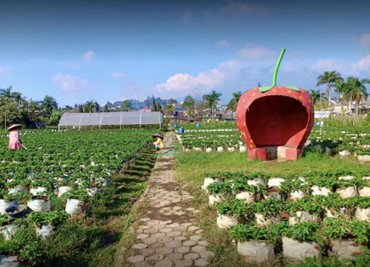 Villa Musti Green Apple Cipanas Sindanglaya Exterior photo